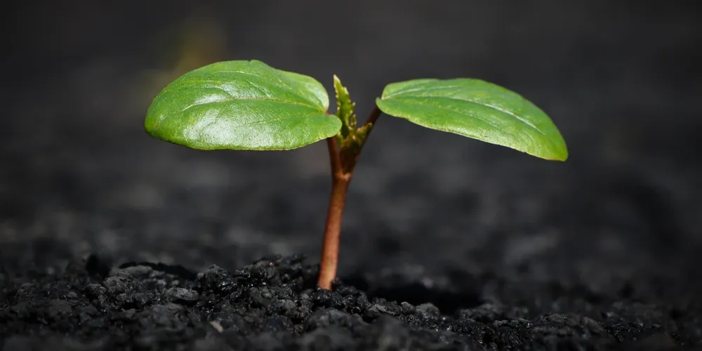 Aumento global nos custos de logística e matéria-prima, impulsionado pela guerra, reflete na chegada de insumos mais caros aos portos e armazéns brasileiros.