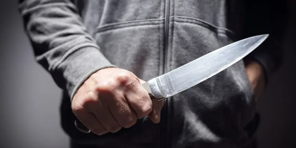 O réu, motivado por ciúmes, tentou matar a própria companheira a facadas, mas o irmão dela colocou-se entre os dois e foi vitimado fatalmente