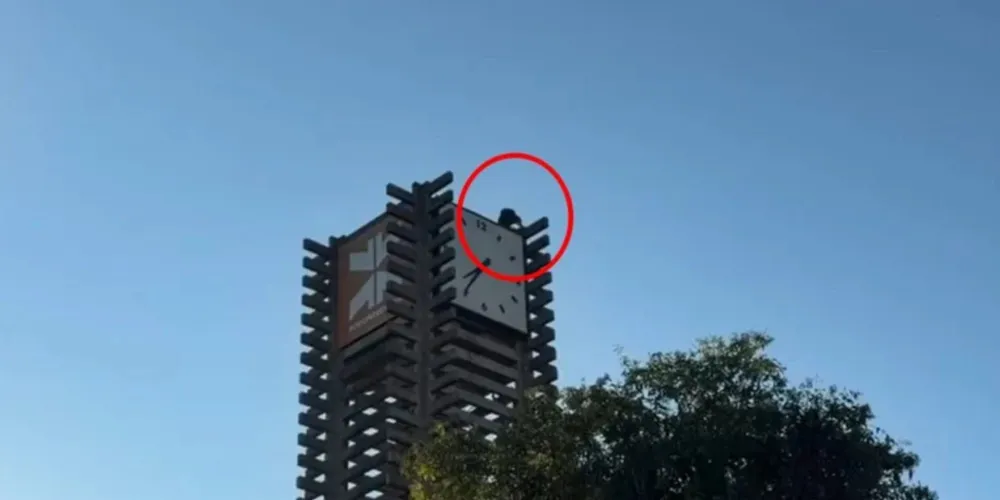 Homem teria escalado a estrutura por volta das 3h da madrugada
