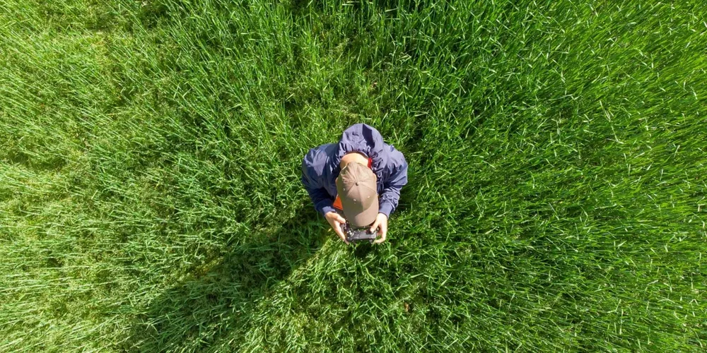 A IA substitui tarefas repetitivas, criando demanda por profissionais qualificados em análise de dados e monitoramento tecnológico