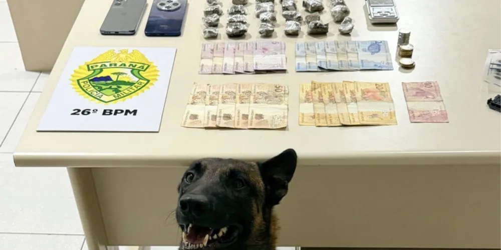 Droga foi encontrada com auxílio de cão farejador