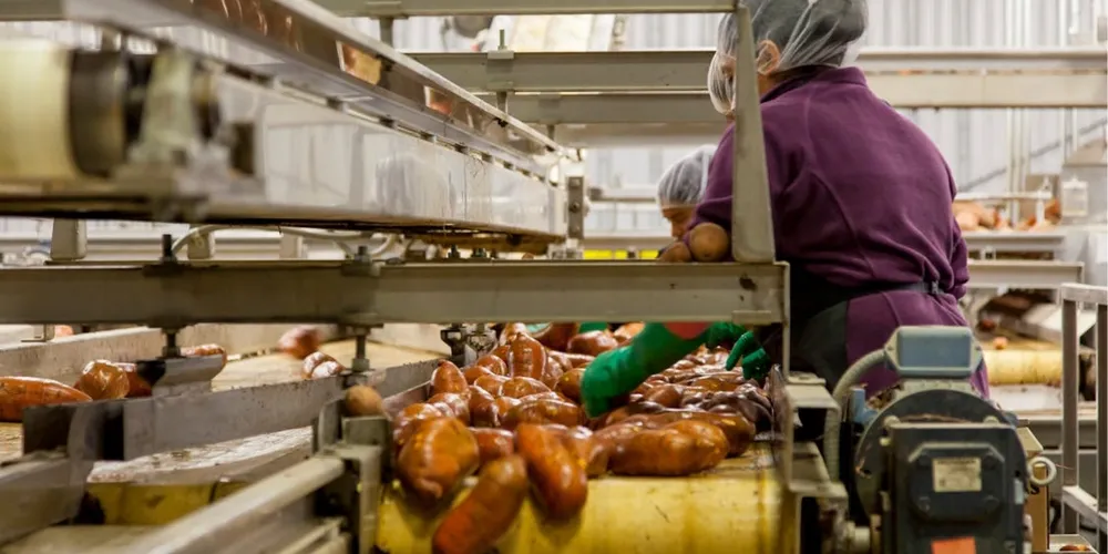 Com faturamento recorde de R$ 1,4 trilhão no ano anterior, a indústria aposta na demanda interna e em investimentos de R$ 120 bilhões para sustentar a expansão e o emprego