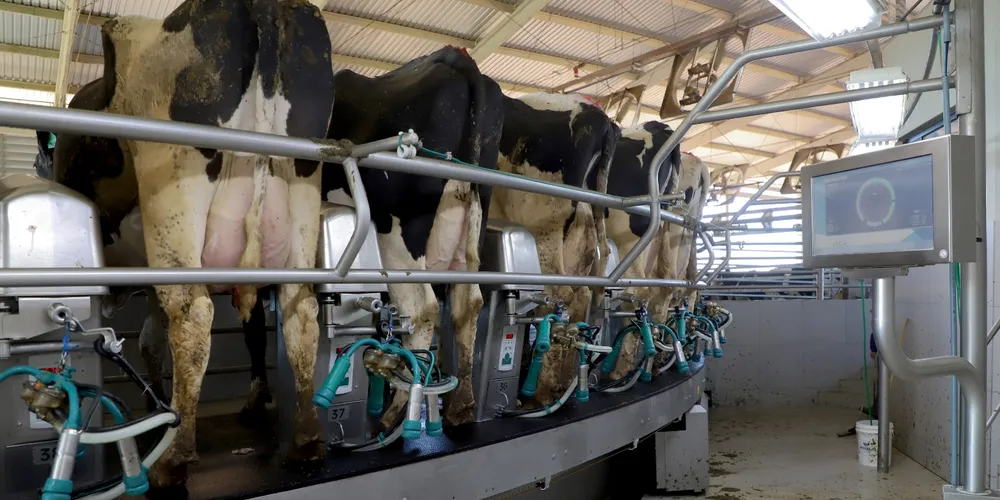 Produção de leite no Paraná entra em fase de recuperação de preços, enquanto o setor de carnes consolida ganhos de eficiência e recordes de exportação