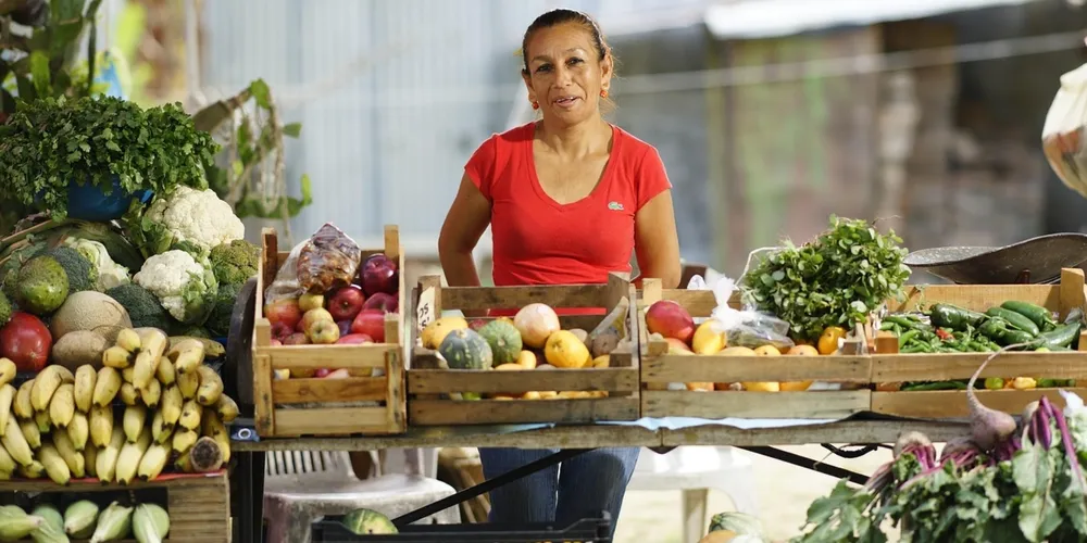 Novo sistema nacional simplifica a emissão de certificados e reforça a segurança sanitária no transporte de vegetais