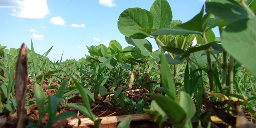 Convergência de fatores externos e câmbio encerram ciclo de estabilidade e forçam ajuste de preços no interior do Brasil