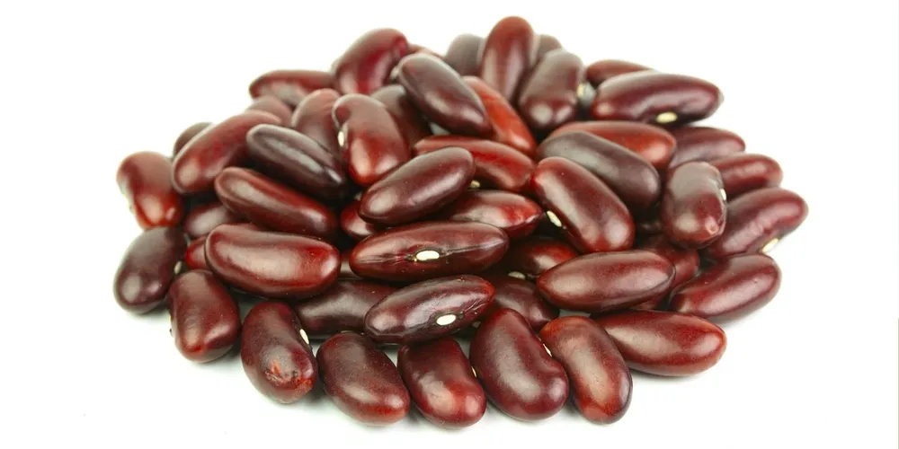 Entrada da safra paranaense e catarinense aumenta a oferta e reduz o apetite comprador da indústria no curto prazo