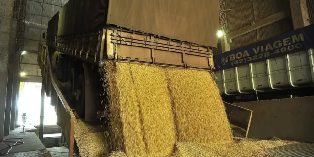 A empresa responsável pelo transporte teve que arcar com o prejuízo