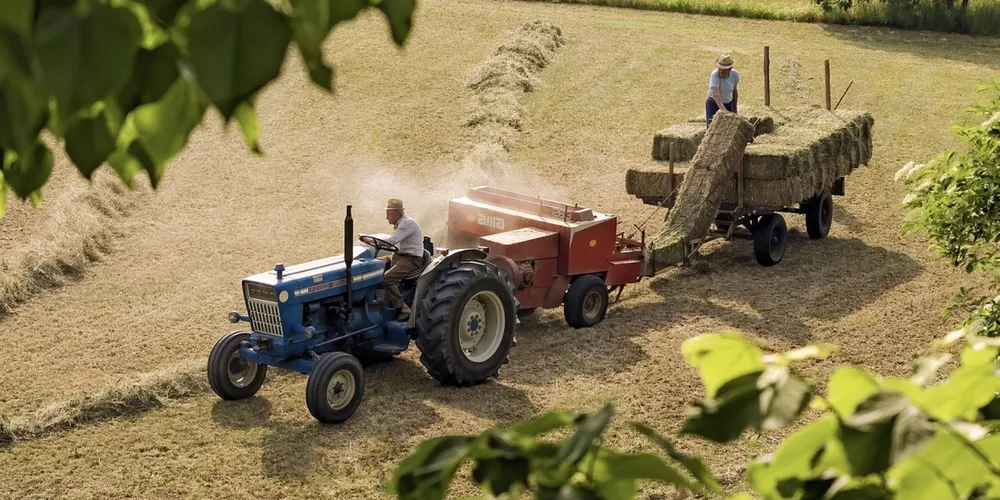 Projeto de lei em tramitação no Senado busca regulamentar o trabalho diante do avanço tecnológico