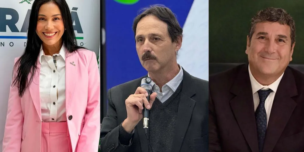 Viviane, Marcos e Luis Guilherme são as novas lideranças do Estado