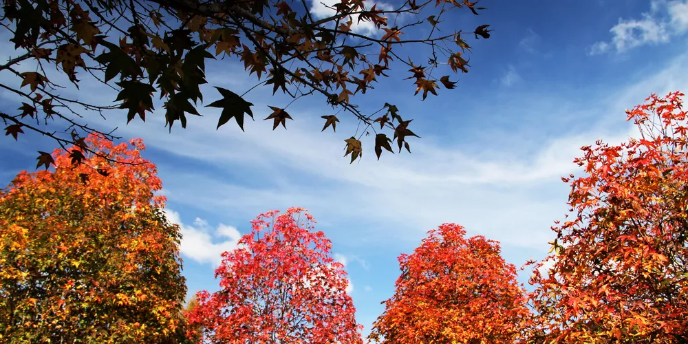 Em seu primeiro fim de semana, no Paraná, o outono começa com temperaturas altas e pancadas de chuva isoladas