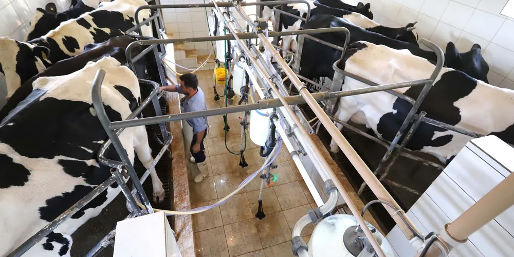 Campo paranaense atingiu níveis históricos de produtividade em 2025, consolidando o estado como o principal polo de proteína animal do Brasil