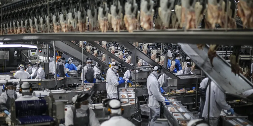 Santa Catarina, Rio Grande do Sul e São Paulo, que também são grandes exportadores da mercadoria, atingiram 138, 134 e 119 mercados no Exterior, respectivamente