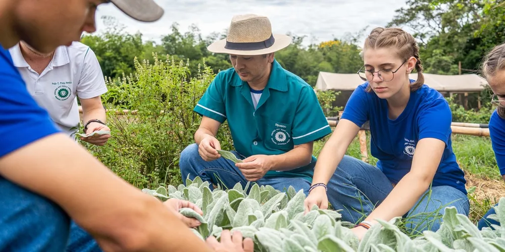 Estudantes de colégios agrícolas paranaenses terão acesso a bolsas de iniciação científica para desenvolver projetos de tecnologia aplicada ao campo