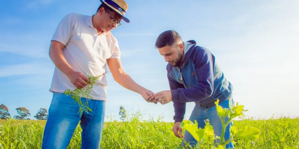 Edital estadual prioriza a integração científica entre o Paraná e centros globais de tecnologia para o avanço da pesquisa em biotecnologia e sistemas agroalimentares