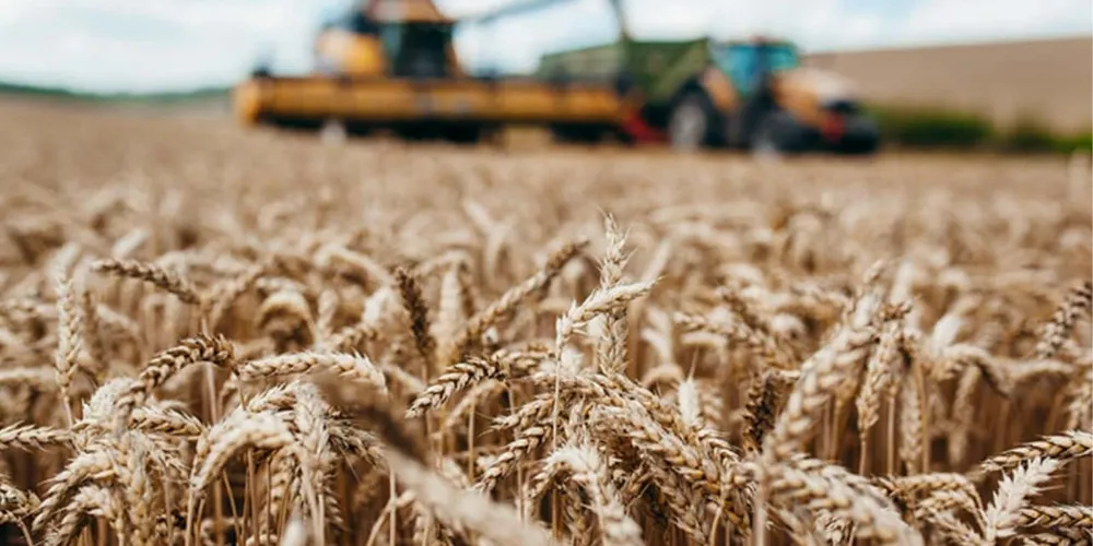 A mudança está relacionada ao avanço tecnológico da segunda safra de grãos