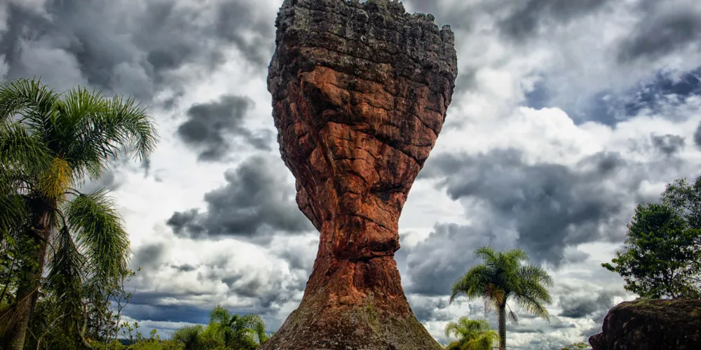"Taça" do Parque Estadual de Vila Velha