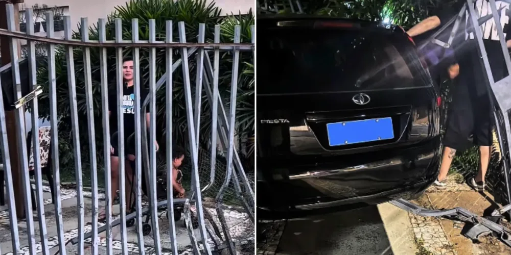 Carro destriu a garagem, o jardim e causou medo na família