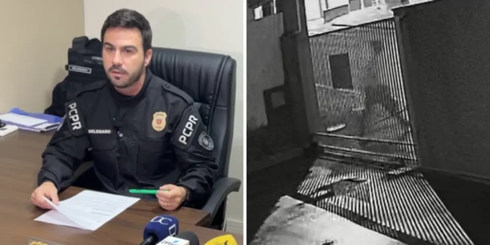 Delegado de polícia detalha perfil do suspeito