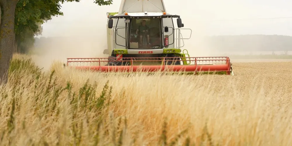 Crescimento da produção de grãos e valorização da pecuária levaram o agronegócio a representar um quarto de toda a economia brasileira em 2025