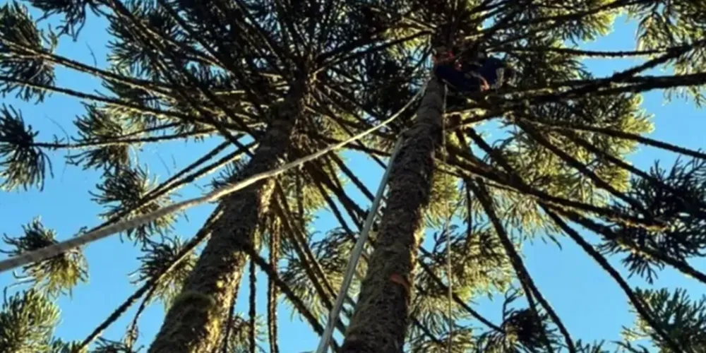 A vítima contou que manuseava um cano de alumínio e que se aproximou da rede elétrica quando sofreu o choque