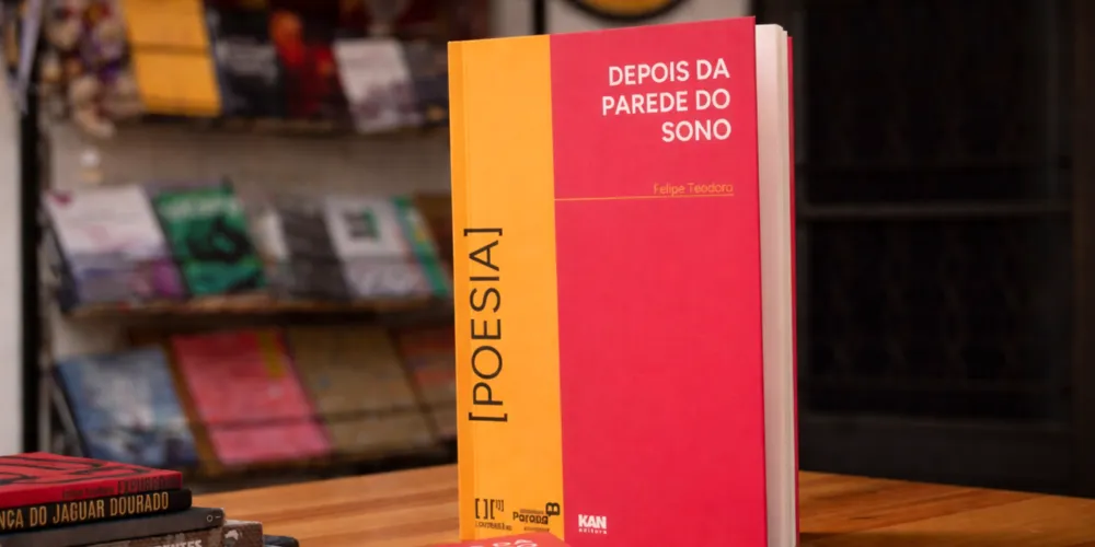 O livro, que já foi premiado pela Secretaria de Cultura do Paraná, está disponível em versão online