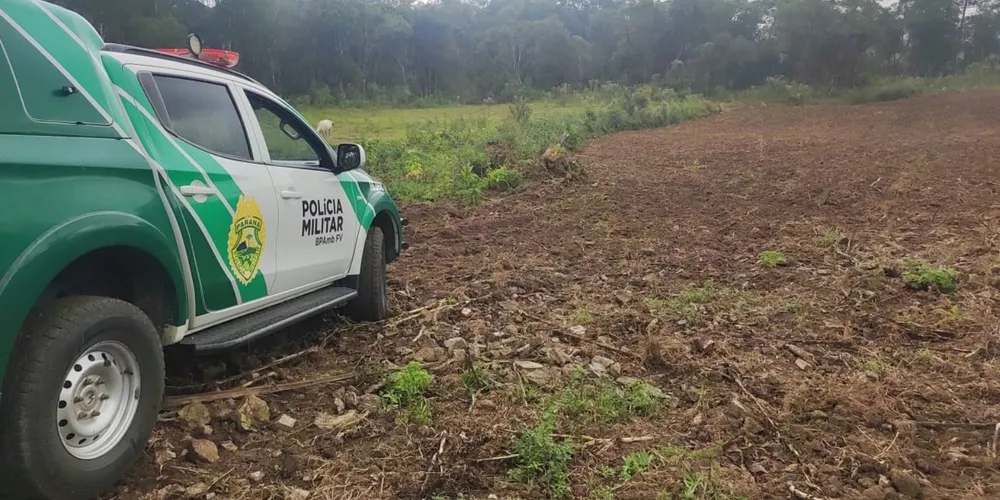 Palmital I, em Mallet.