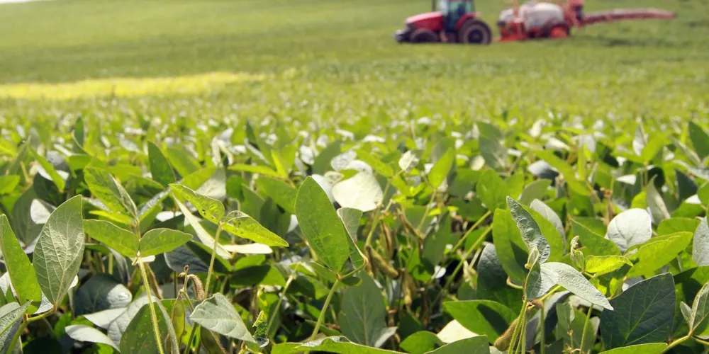 Produtores dos Campos Gerais devem intensificar o monitoramento para a eliminação de plantas voluntárias de soja antes do início do vazio em 21 de junho
