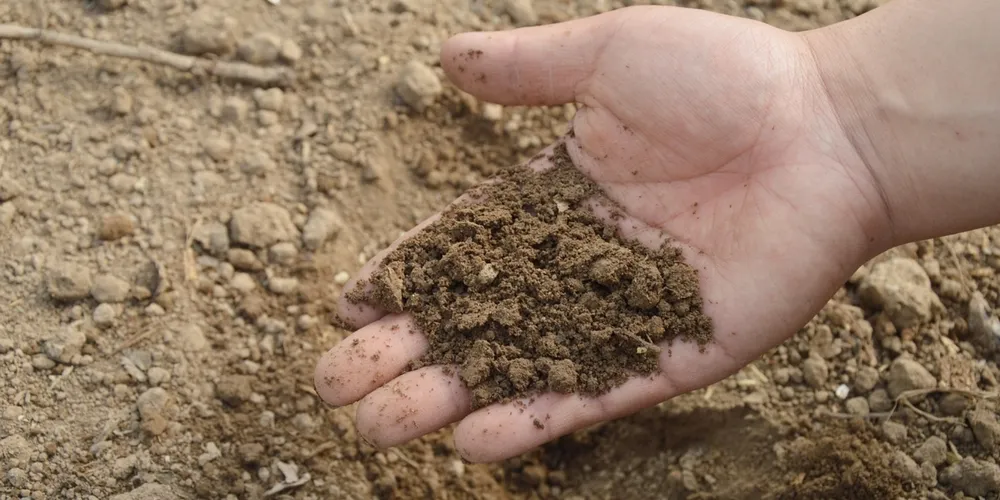 Insumo é altamente dependente do preço do gás natural e sofre impacto direto de crises energéticas e geopolíticas