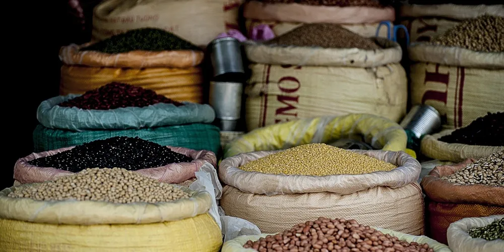 Feijão-carioca, base da alimentação brasileira, vive um cenário de preços desequilibrados entre o campo e o varejo