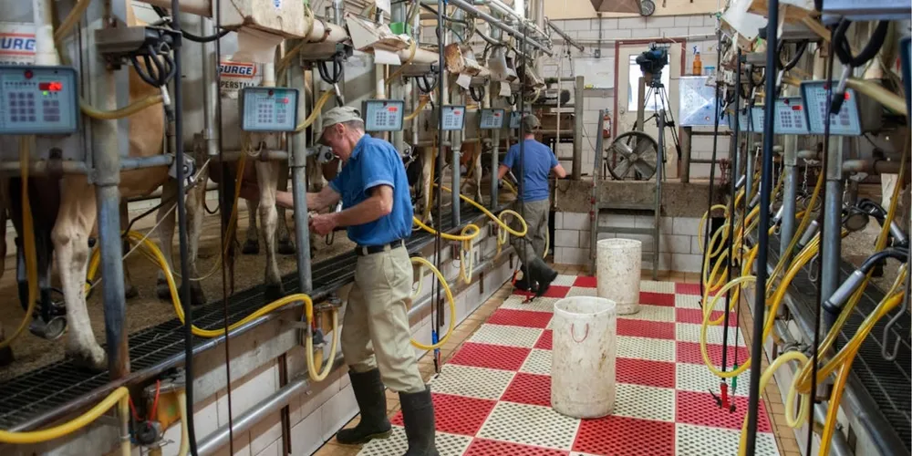 No acumulado de 12 meses, o queijo minas despencou mais de 20% e a muçarela recuou 12%