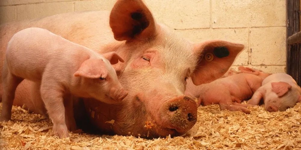 Queda foi impulsionada pela menor demanda das indústrias e pelo consumo enfraquecido no atacado