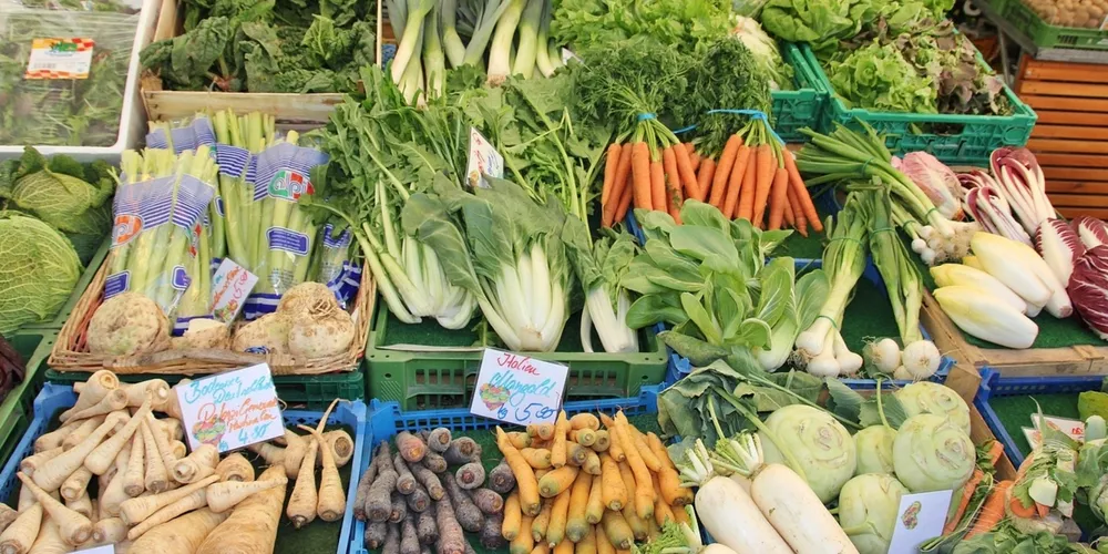 Alta na arroba do boi gordo evita recuo ainda maior no campo