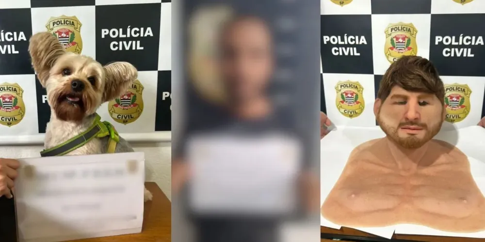 Suspeito usou animal para coagir vítima, que já tinha medida protetiva contra ex-companheiro