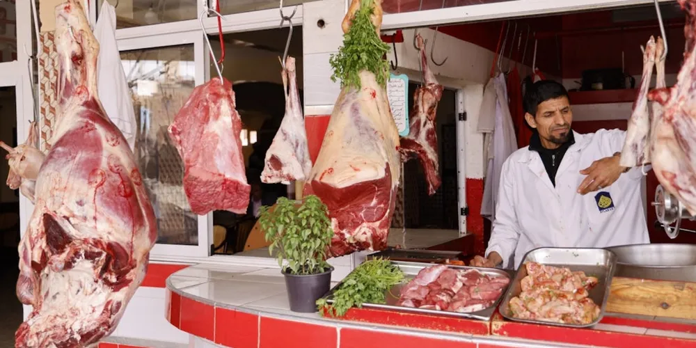 Setor de proteína animal no Brasil projeta recordes de produção e exportação em 2026, liderado pelo desempenho de aves e suínos