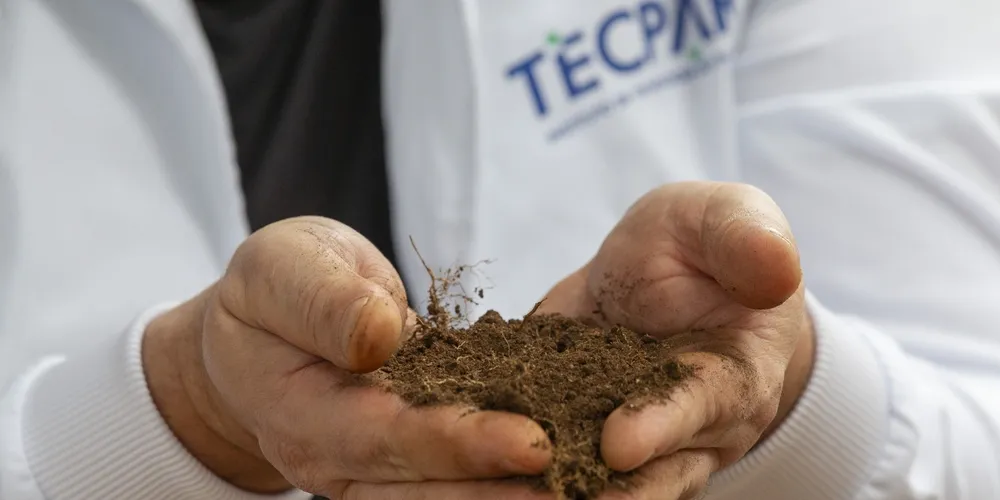 Técnicos realizam coleta de amostras para o mapeamento genético que vai identificar a saúde biológica do solo em propriedades paranaenses