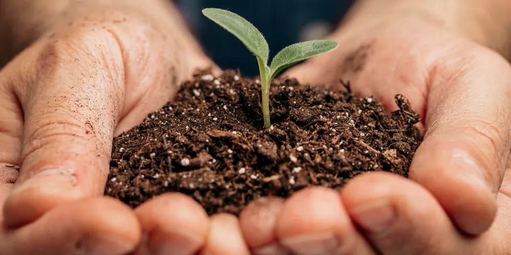 Preços recordes da ureia e incertezas geopolíticas levam agricultores a reavaliar investimentos em fertilizantes para a safra 2026