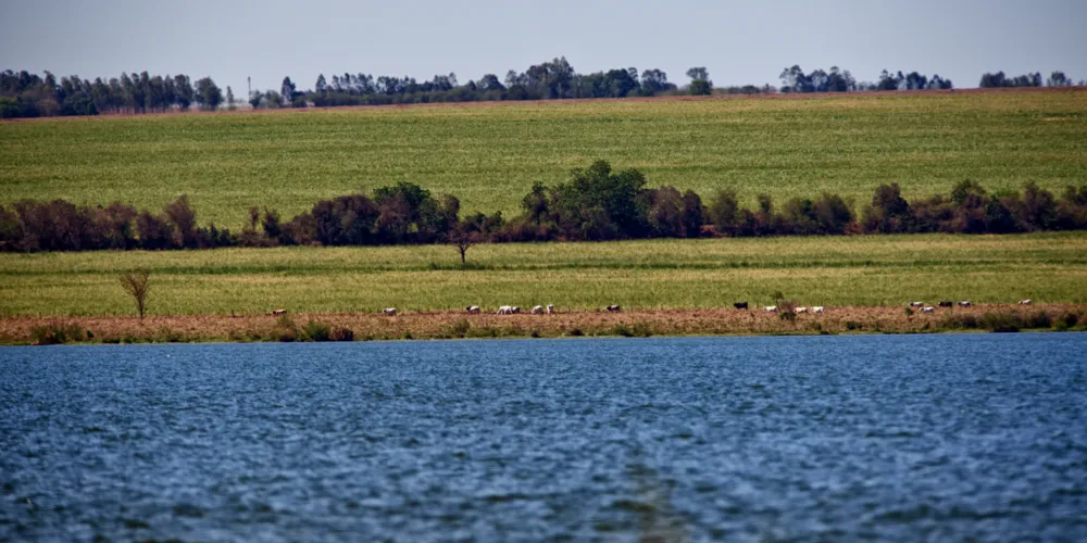 Quatro comitês de bacias hidrográficas se reúnem para discutir a gestão da água no Paraná