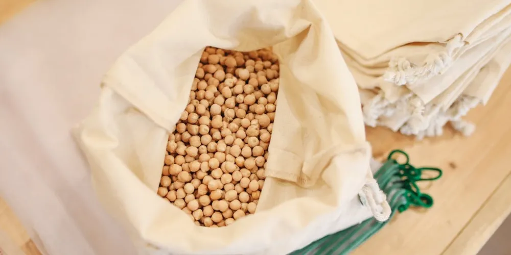 Novo complexo industrial da Cooperativa Tradição em Pato Branco amplia a verticalização da soja e impulsiona a economia do Sudoeste paranaense