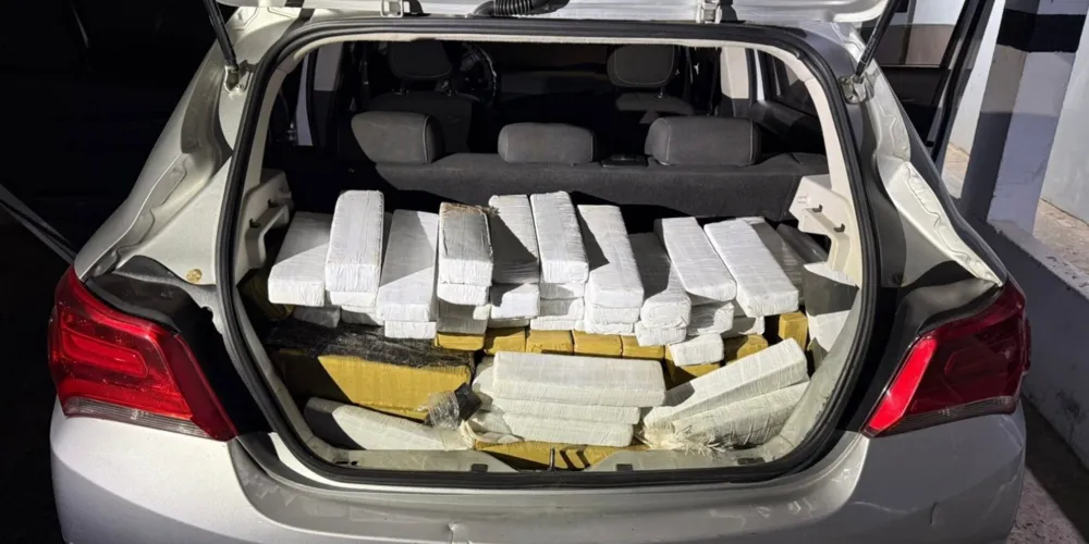 Receita Federal retém 220 kg de maconha durante fiscalização na BR-277, em Irati