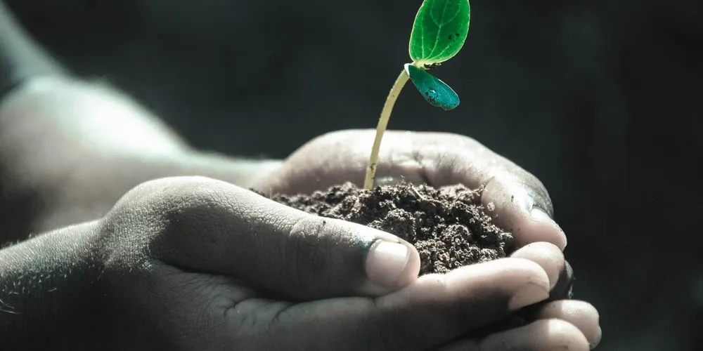 Brasil busca alternativas para reduzir a importação de fertilizantes e mitigar os impactos da volatilidade internacional nos custos de produção