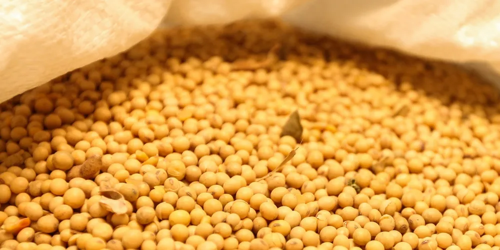 Estado responde por 13,9% da produção nacional