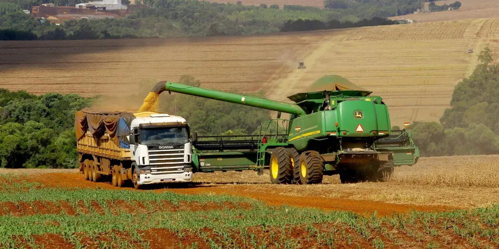 Estado mantém protagonismo nacional na produção de grãos, apesar dos desafios localizados na cultura do feijão