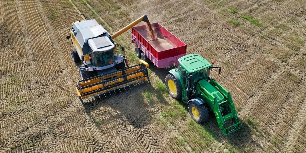 Produtores aceleram o plantio da segunda safra de milho em todo o estado
