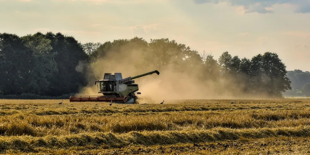 Estado corre para finalizar a safra de verão enquanto monitora o impacto do calor nas lavouras jovens de milho safrinha