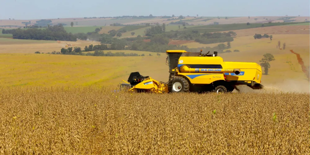 Safra de Soja do Paraná