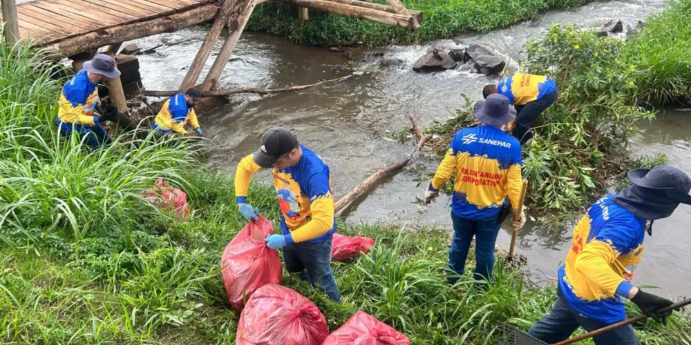 Cerca de 350 voluntários da Companhia de Saneamento do Paraná participaram de mutirões de limpeza de rios