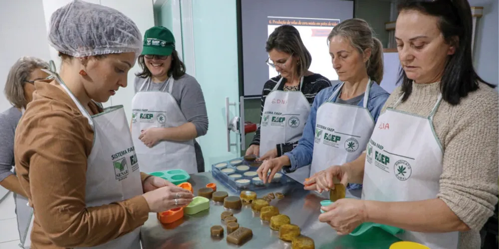 Novas capacitações do Sistema FAEP focam na aplicação direta de tecnologias no campo