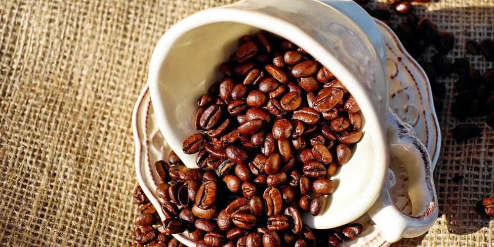 Reuniões técnicas no interior do estado visam transformar o café de qualidade em oportunidade real de mercado para o produtor paranaense