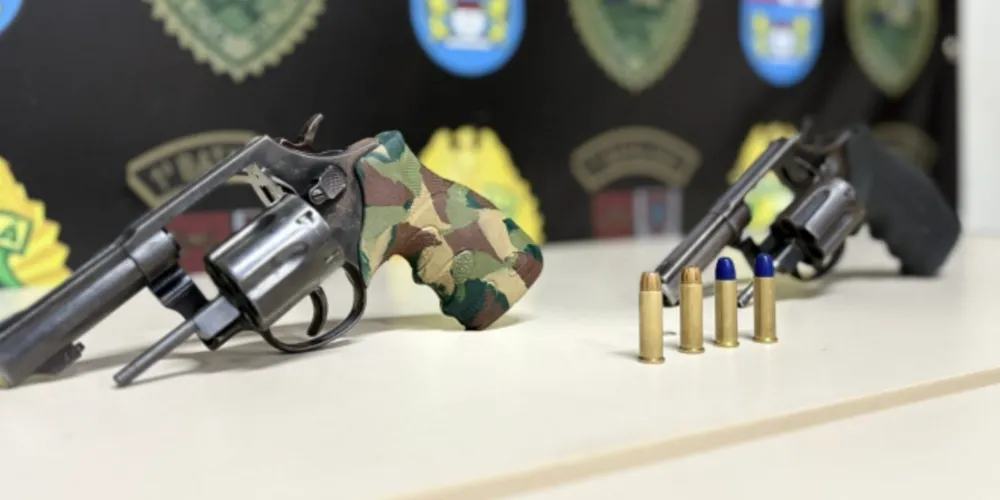 Duas armas de fogo ilegais foram apreendidas