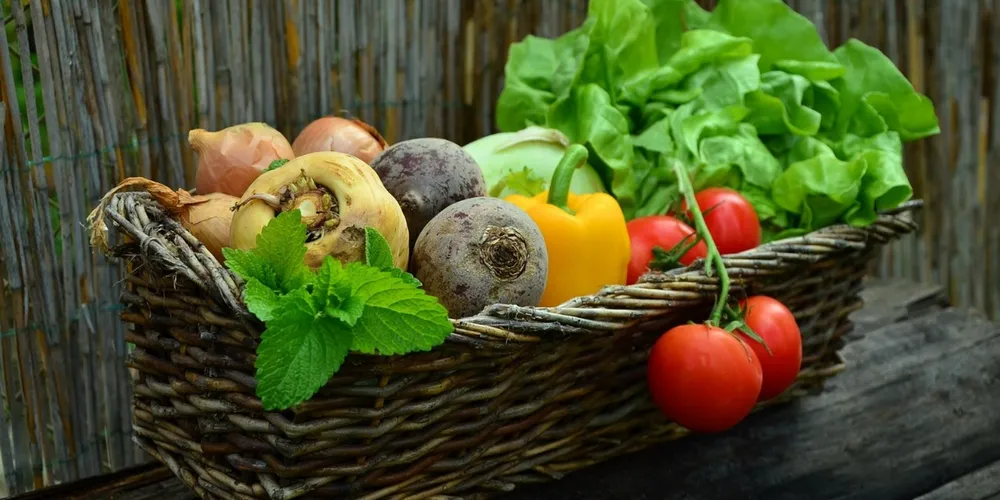 Cerca de um quarto dos vegetais consumidos no Brasil apresenta irregularidades ligadas a defensivos agrícolas, impulsionando a busca por tecnologias de descontaminação